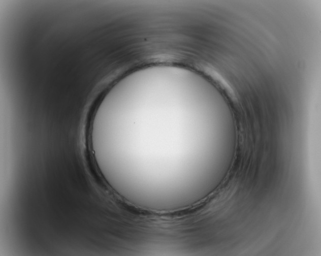 X0000092300486200709141001