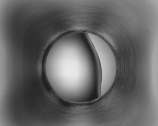 X0000092300488200709141001