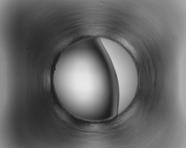 X0000092300493200709141001