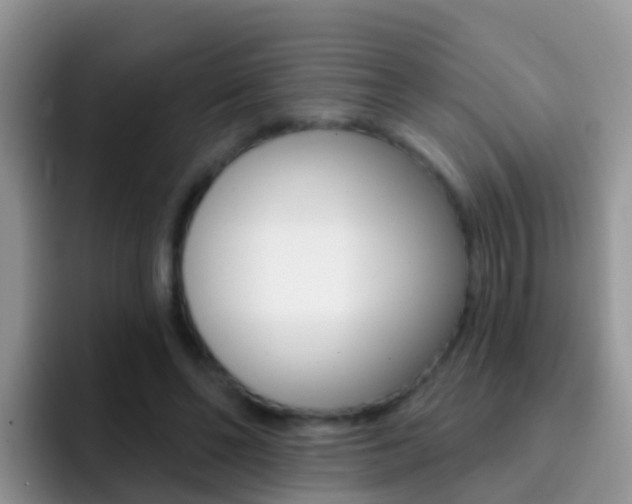 X0000092300494200709141001