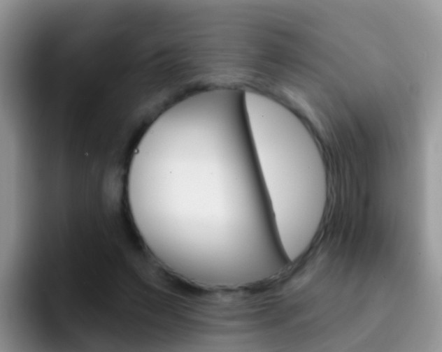 X0000092300495200709141001
