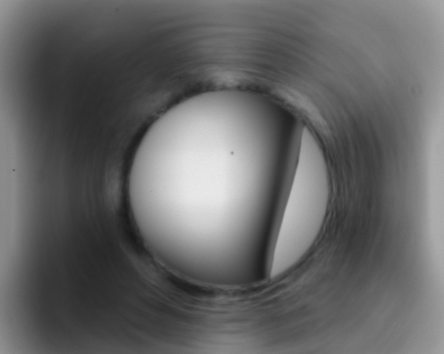 X0000092300496200709141001