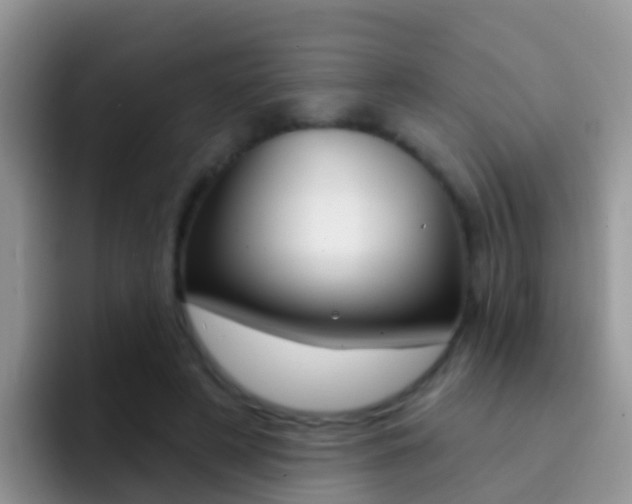 X0000092300497200709141001