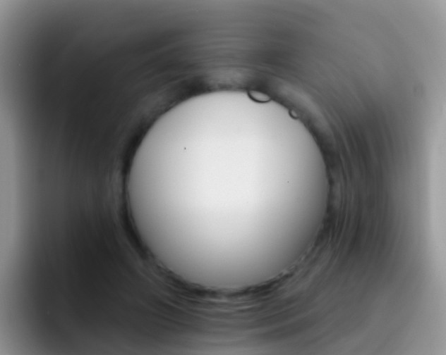X0000092300498200709141001