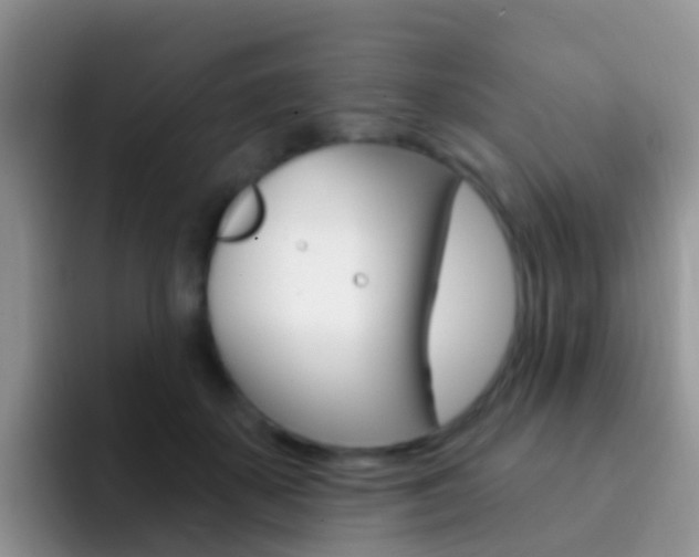 X0000092300507200709141001
