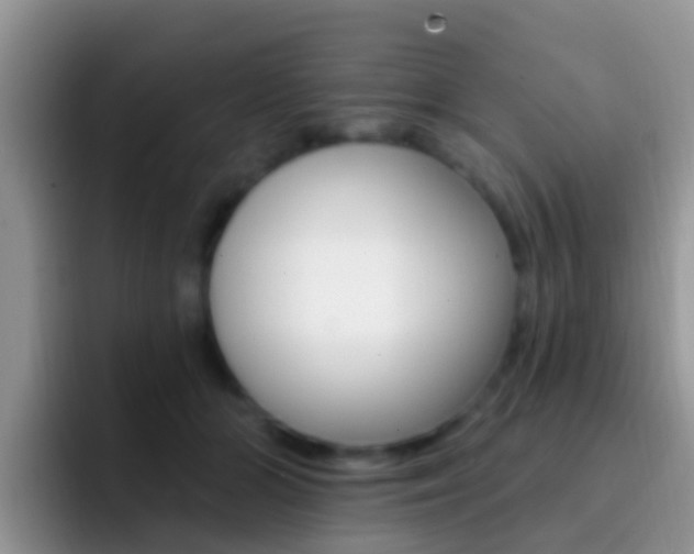 X0000092300510200709141001
