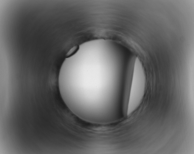 X0000092300513200709141001
