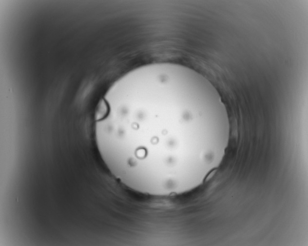 X0000092300519200709141001