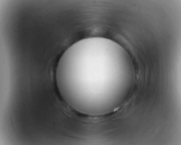 X0000092300520200709141001