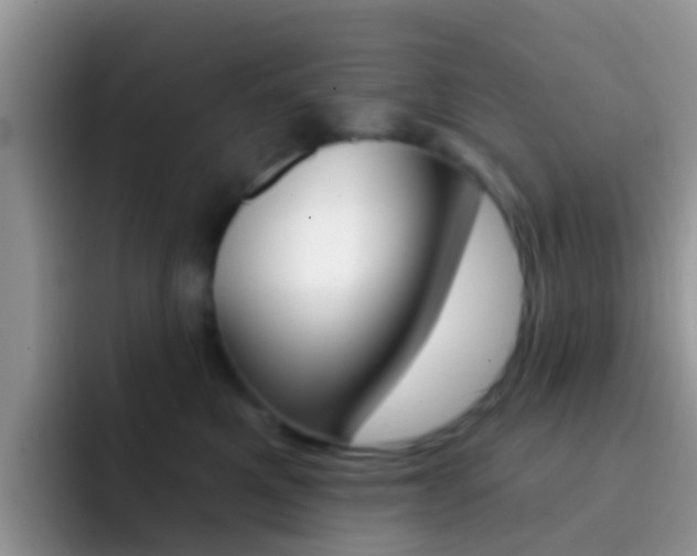 X0000092300521200709141001