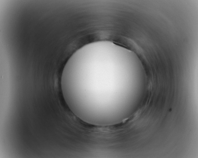 X0000092300524200709141001