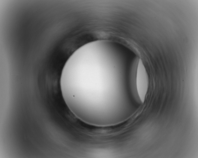 X0000092300525200709141001