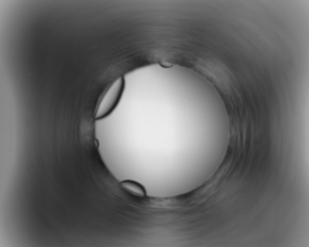 X0000092300526200709141001