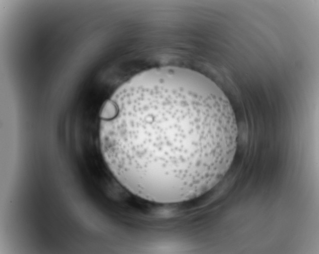 X0000092300527200709141001