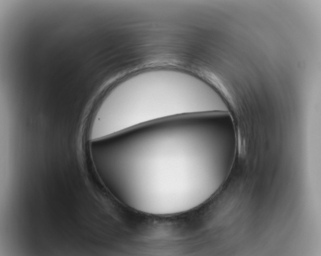 X0000092300531200709141000