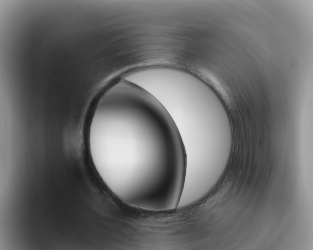 X0000092300532200709141000