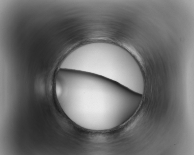 X0000092300533200709141000