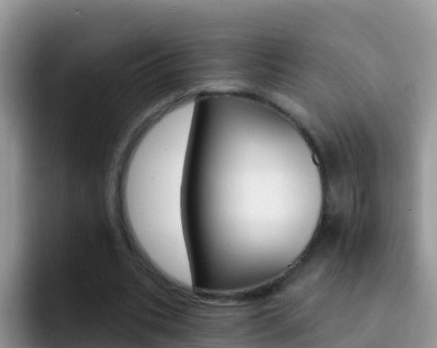 X0000092300535200709141000