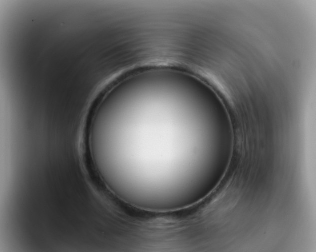 X0000092300536200709141000