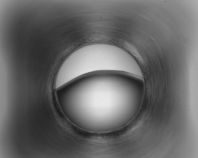 X0000092300538200709141000