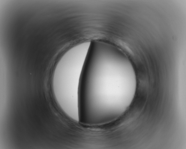 X0000092300539200709141000