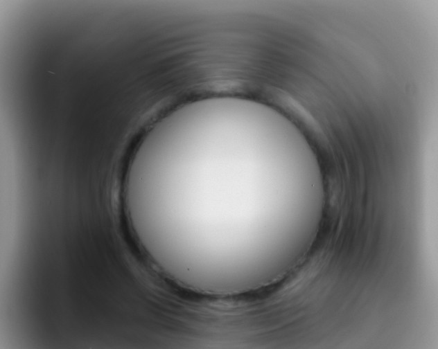 X0000092300542200709141000