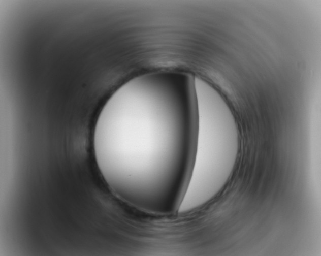 X0000092300544200709141000