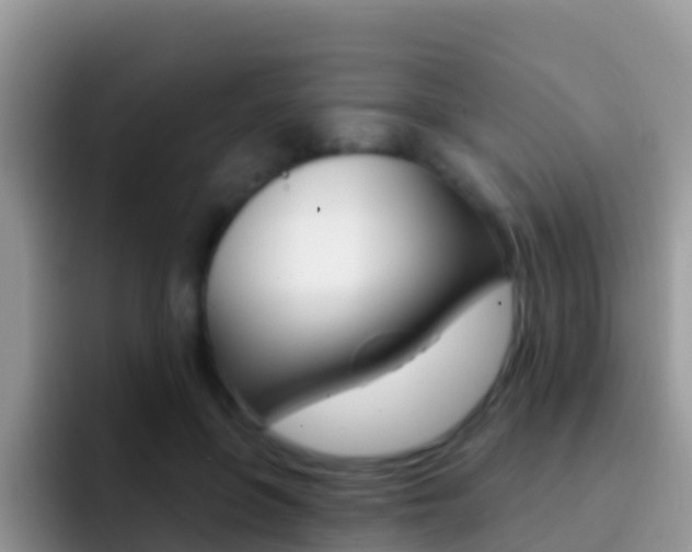 X0000092300551200709141000