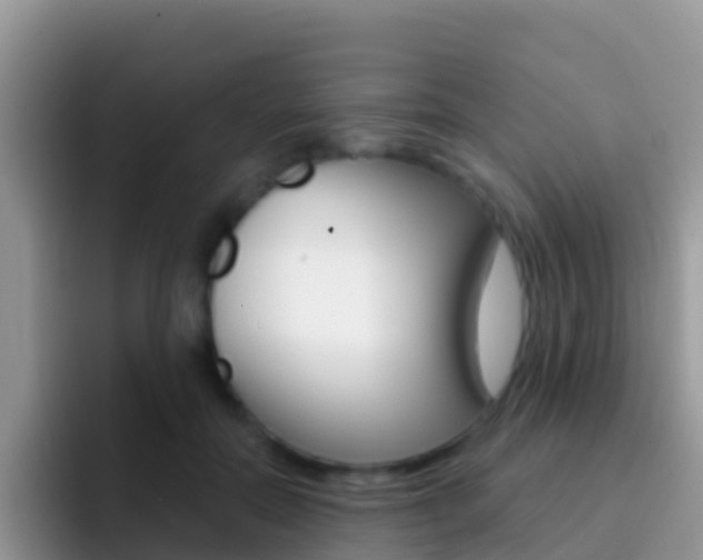 X0000092300554200709141000
