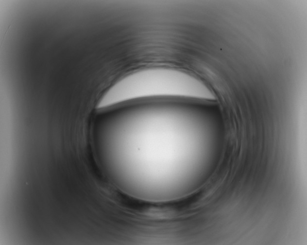 X0000092300556200709141000