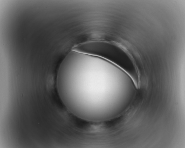 X0000092300560200709141000