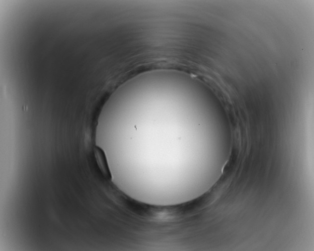 X0000092300564200709141000