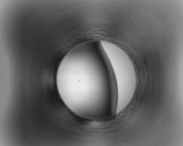 X0000092300566200709141000