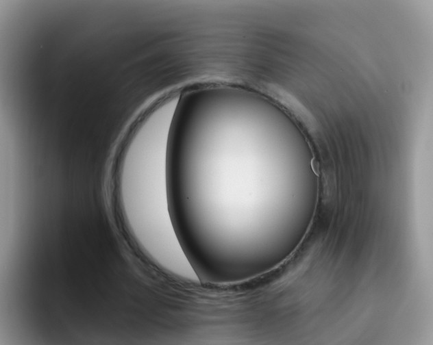 X0000092300580200709141000