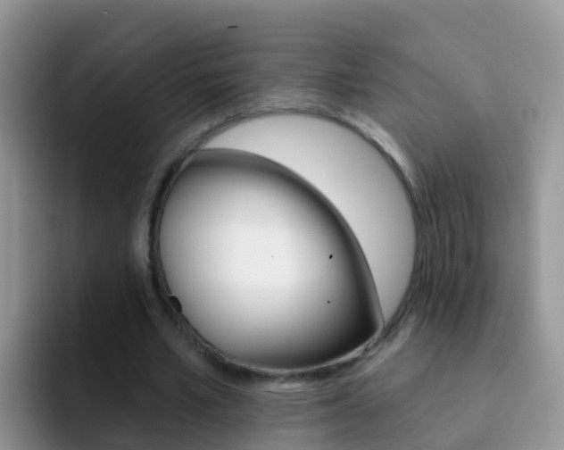 X0000092300581200709141000