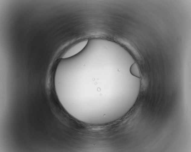 X0000092300583200709141000