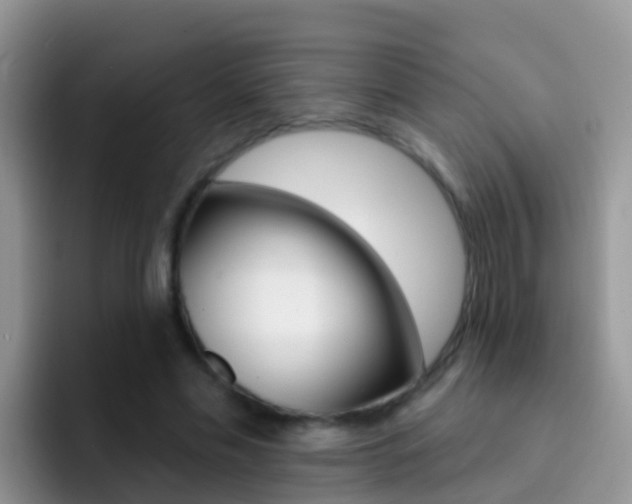 X0000092300589200709141000
