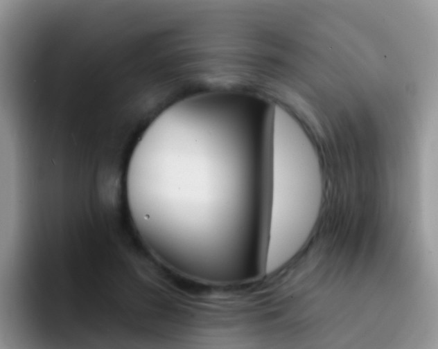 X0000092300596200709141000