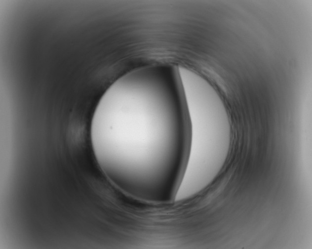 X0000092300597200709141000