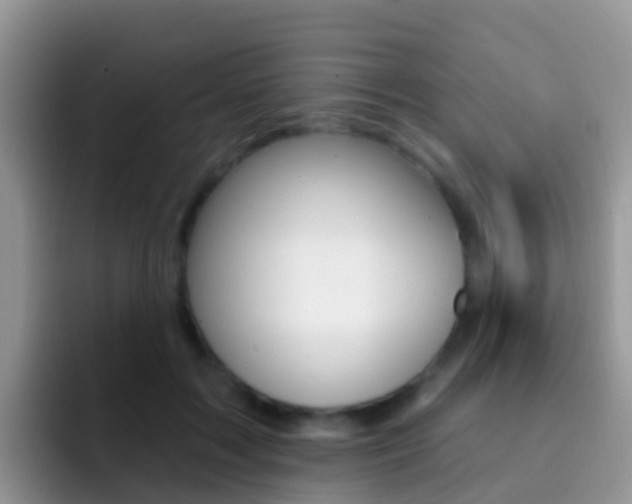 X0000092300603200709141000