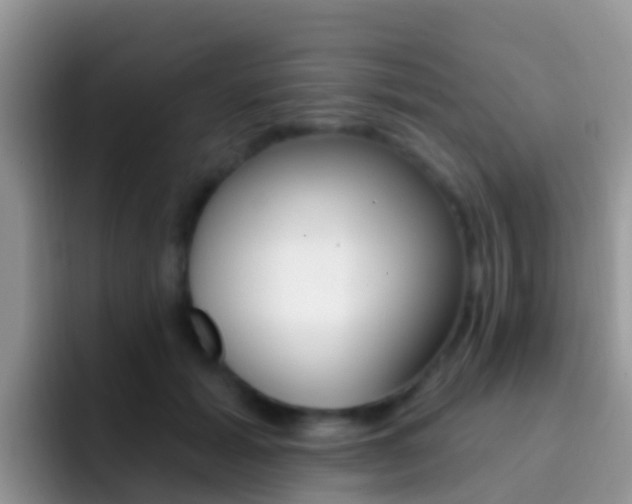 X0000092300605200709141000