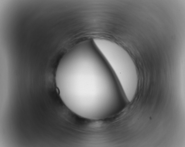 X0000092300609200709141000