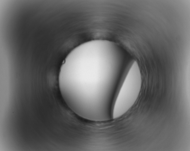 X0000092300619200709140959