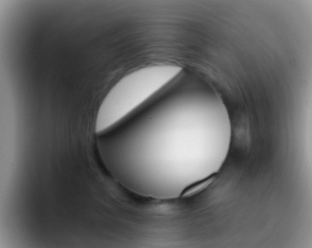 X0000092300620200709140959