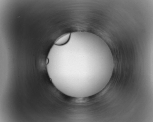 X0000092300622200709140959