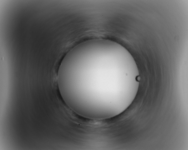 X0000092300624200709140959