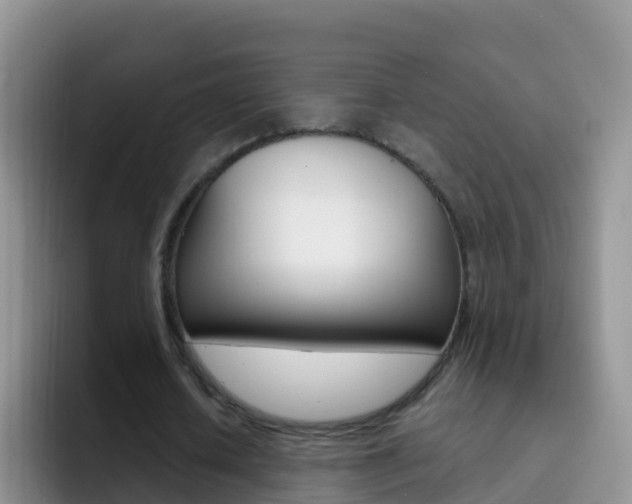 X0000092300626200709140959