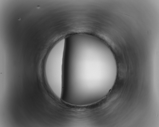 X0000092300631200709140959