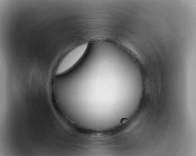 X0000092300634200709140959
