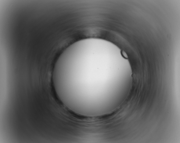 X0000092300652200709140959